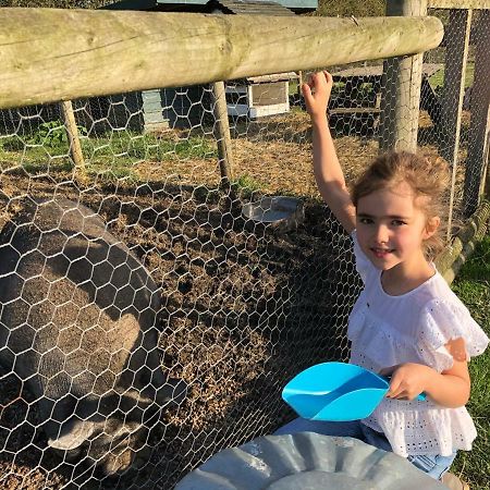 Willow Court Farm Studio South & Petting Farm, 8 Mins From Legoland & Windsor, 15 Mins From Lapland Uk 外观 照片