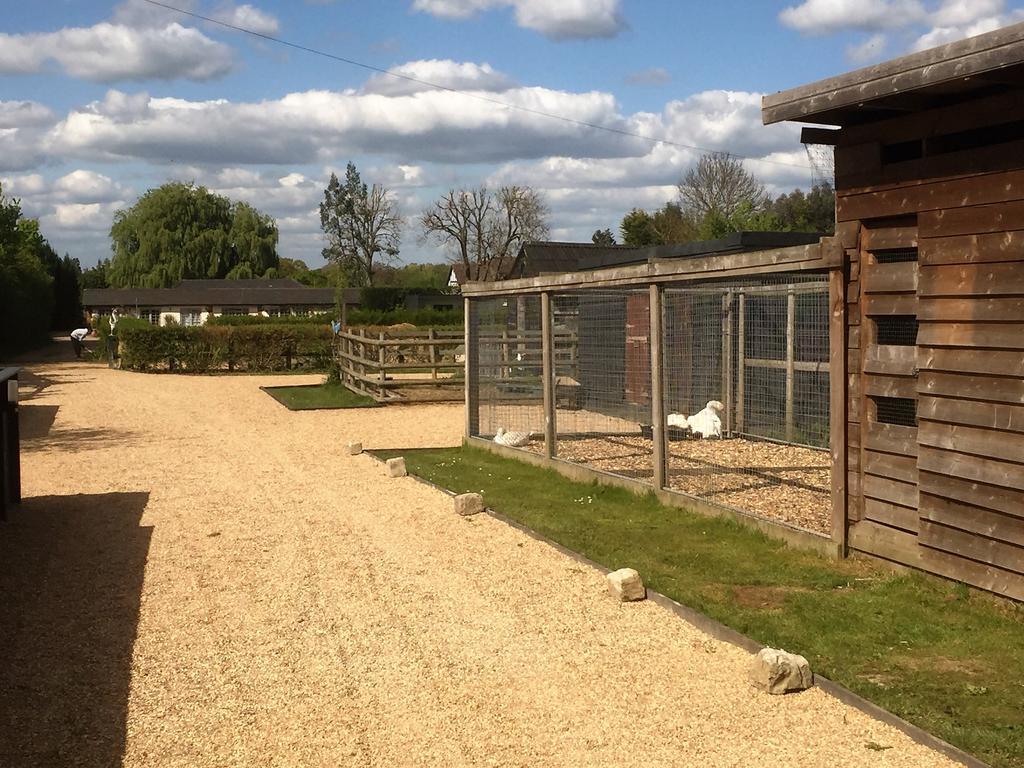 Willow Court Farm Studio South & Petting Farm, 8 Mins From Legoland & Windsor, 15 Mins From Lapland Uk 外观 照片