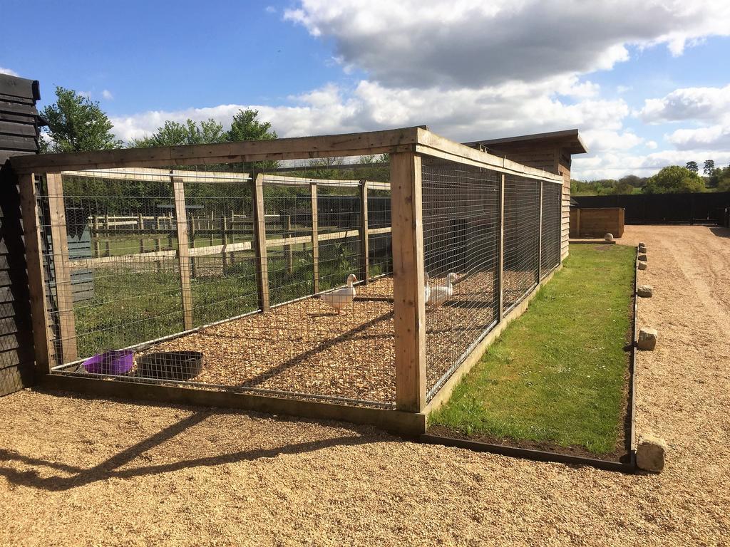 Willow Court Farm Studio South & Petting Farm, 8 Mins From Legoland & Windsor, 15 Mins From Lapland Uk 外观 照片