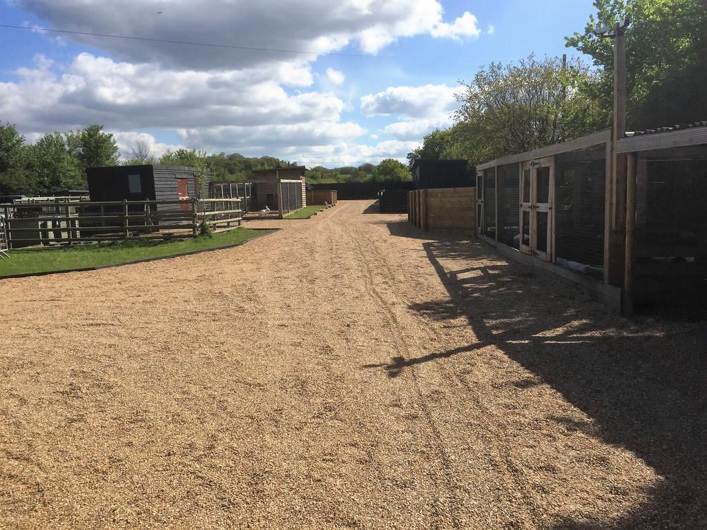 Willow Court Farm Studio South & Petting Farm, 8 Mins From Legoland & Windsor, 15 Mins From Lapland Uk 外观 照片