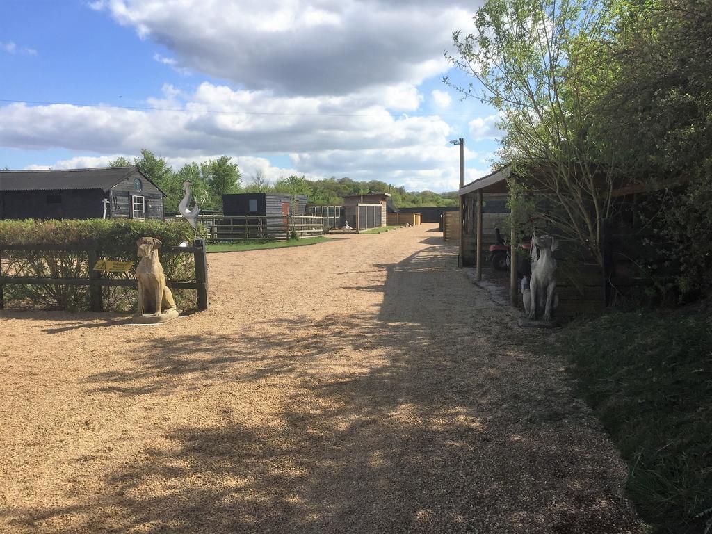 Willow Court Farm Studio South & Petting Farm, 8 Mins From Legoland & Windsor, 15 Mins From Lapland Uk 外观 照片