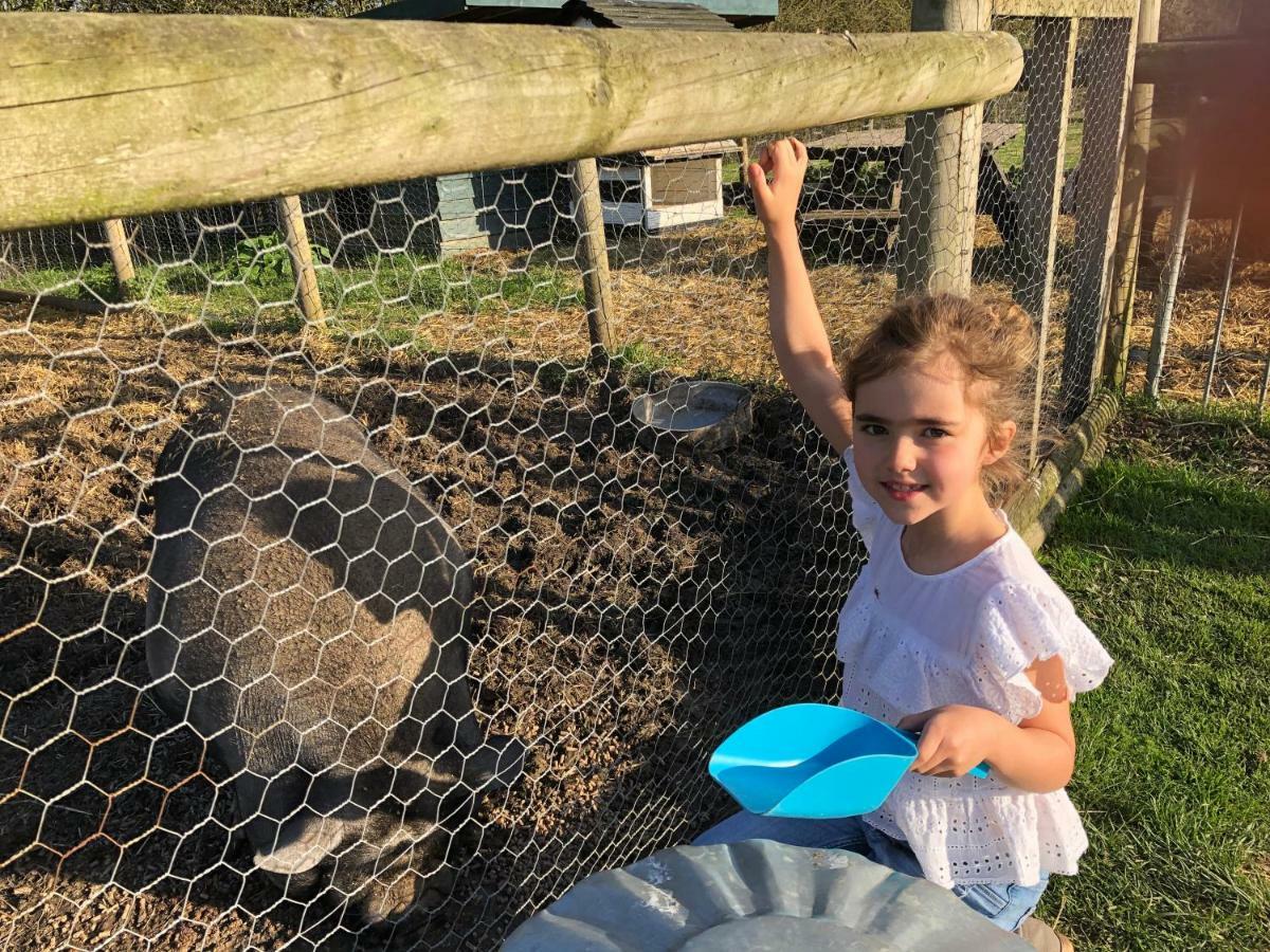 Willow Court Farm Studio South & Petting Farm, 8 Mins From Legoland & Windsor, 15 Mins From Lapland Uk 外观 照片