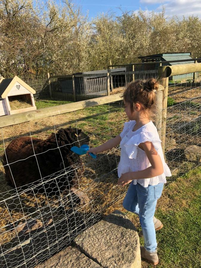 Willow Court Farm Studio South & Petting Farm, 8 Mins From Legoland & Windsor, 15 Mins From Lapland Uk 外观 照片