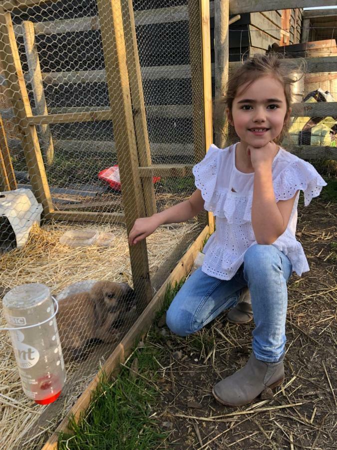 Willow Court Farm Studio South & Petting Farm, 8 Mins From Legoland & Windsor, 15 Mins From Lapland Uk 外观 照片