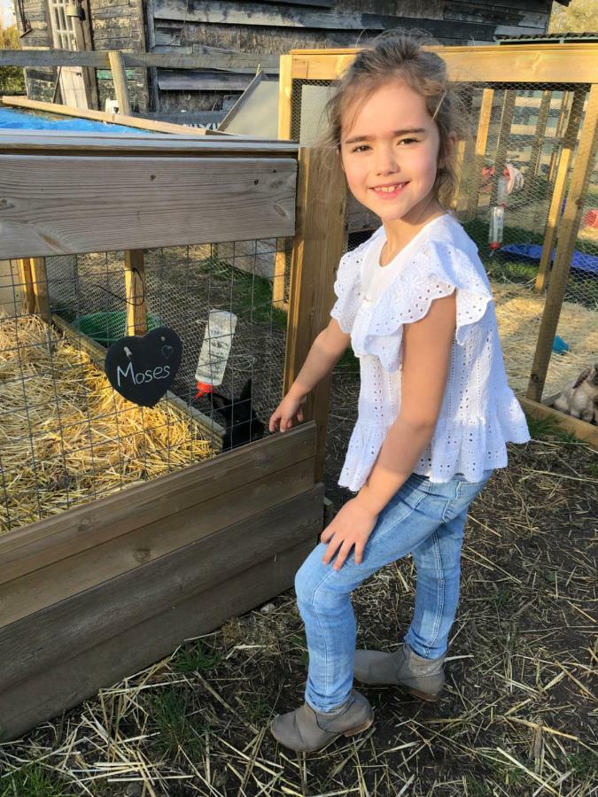 Willow Court Farm Studio South & Petting Farm, 8 Mins From Legoland & Windsor, 15 Mins From Lapland Uk 外观 照片