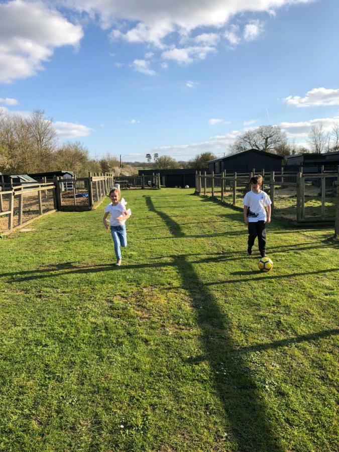 Willow Court Farm Studio South & Petting Farm, 8 Mins From Legoland & Windsor, 15 Mins From Lapland Uk 外观 照片